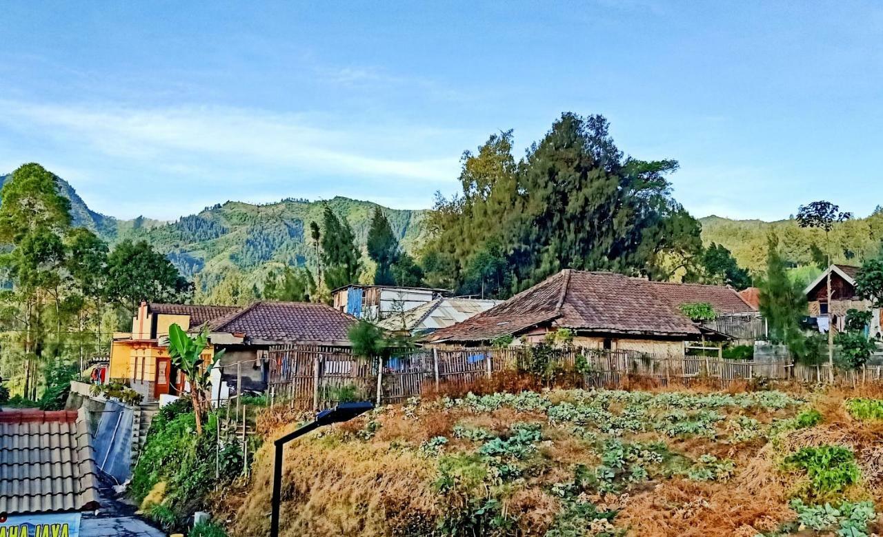 Homestay Anggun Bromo Eksteriør bilde